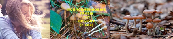 дживик Алзамай