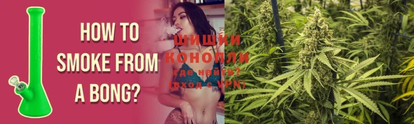 дживик Алзамай